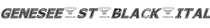 Genesee St Black Black Italic.ttf