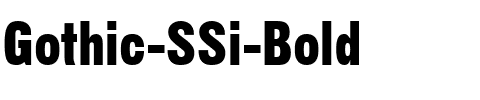 Gothic SSi Bold.ttf