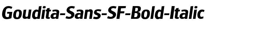 Goudita Sans SF Bold Italic.ttf