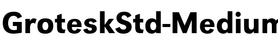 GroteskStd Medium.ttf