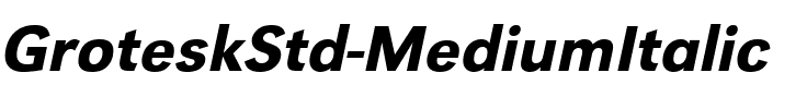 GroteskStd MediumItalic.ttf