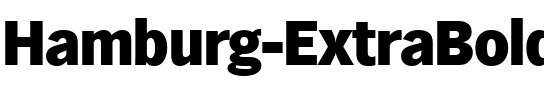 Hamburg-ExtraBold Regular.ttf