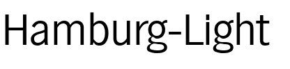 Hamburg-Light Regular.ttf