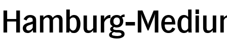 Hamburg-Medium Regular.ttf