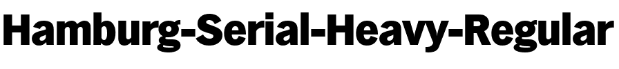 Hamburg-Serial-Heavy Regular.ttf