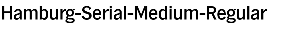 Hamburg-Serial-Medium Regular.ttf