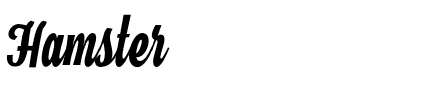 Hamster Regular.otf