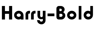 Harry Bold.ttf
