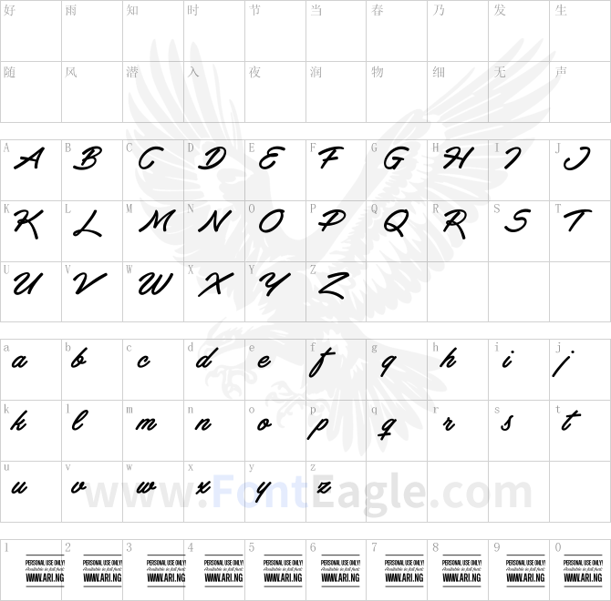 Haydon-Brush-PERSONAL-USE