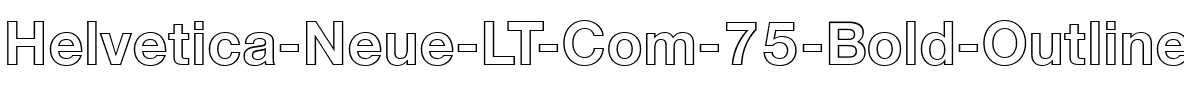 HelveticaNeueLT Com 75 BdOu Regular.ttf