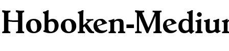 Hoboken-Medium Regular.ttf