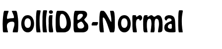 HolliDB Normal.ttf