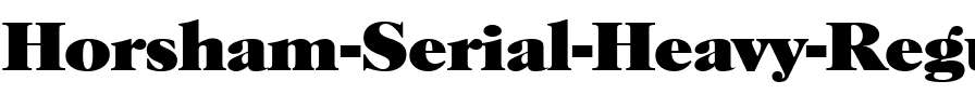 Horsham-Serial-Heavy Regular.ttf