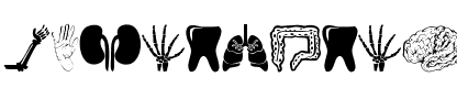 Human Anatomy Normal.ttf