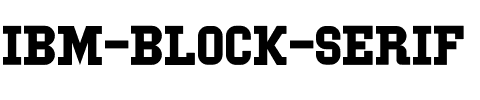 IBM Block Serif Regular.ttf