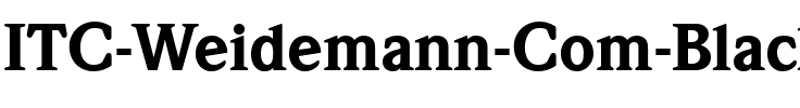 ITC Weidemann Com Black Regular.ttf