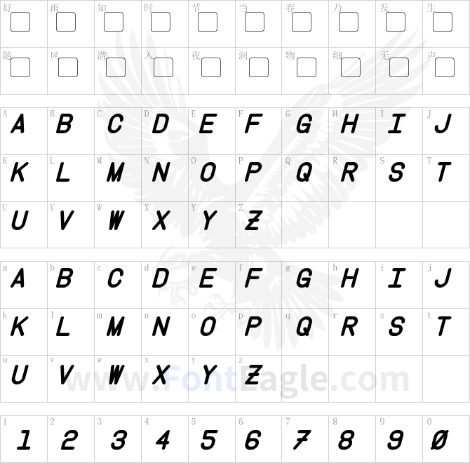 Instruction-Bold-Italic