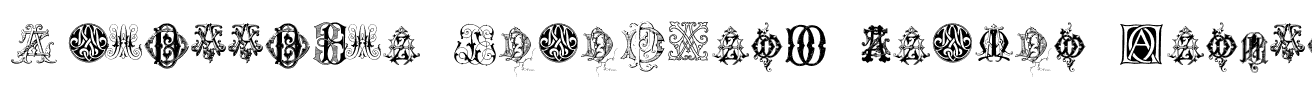 Intellecta Monograms Random Samples Eight Regular.ttf