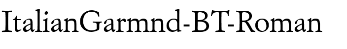ItalianGarmnd BT Roman.ttf