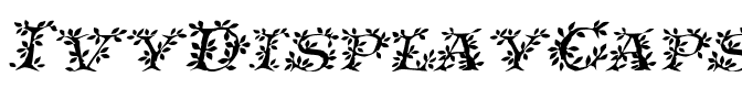 IvyDisplayCaps Italic.ttf