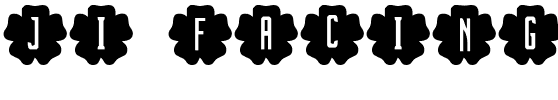 JI-Facing Regular.ttf