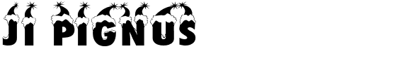 JI-Pignus Regular.ttf