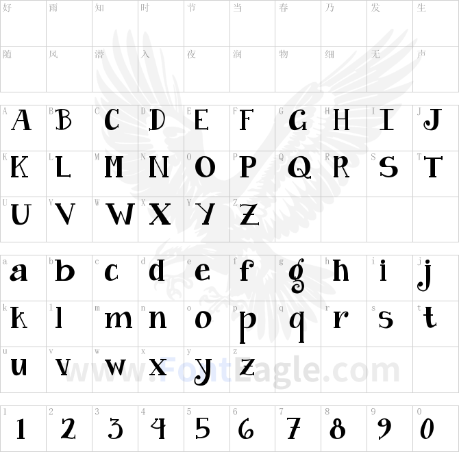 Janda-Curlygirl-Chunky