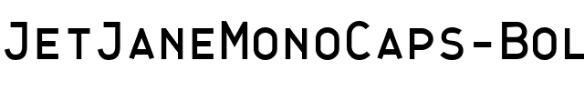JetJaneMonoCaps Bold.ttf