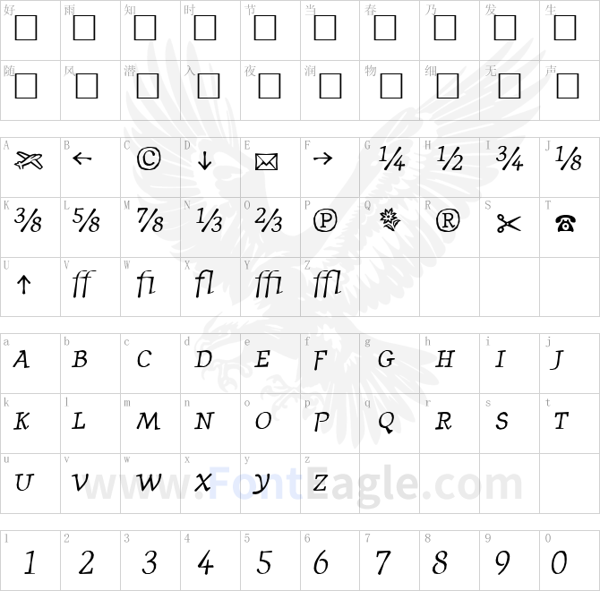 JournalItalicFractions-Italic