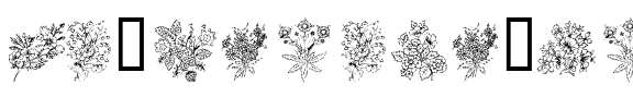 KR Floral Color Me Regular.ttf