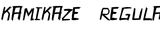Kamikaze Regular.otf