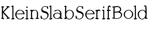 KleinSlabSerifBold Regular.ttf