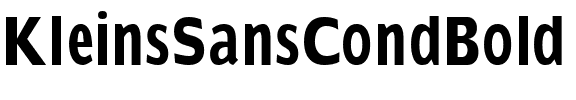 KleinsSansCondBold Regular.ttf