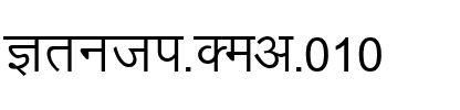 Kruti Dev 010 Regular.ttf