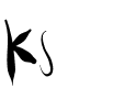 Ks.Brush Medium.ttf