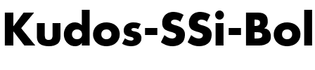 Kudos SSi Bold.ttf