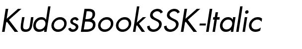 KudosBookSSK Italic.ttf