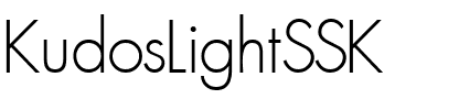 KudosLightSSK Regular.ttf