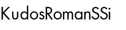 KudosRomanSSi Regular.ttf