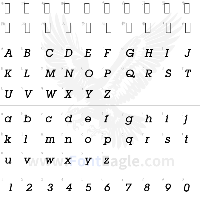 L850-Slab-Medium-Italic