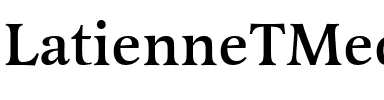 LatienneTMed Regular.ttf
