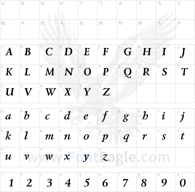 Lazurski-Bold-Italic