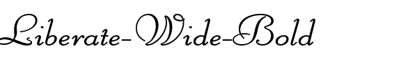 Liberate Wide Bold.ttf