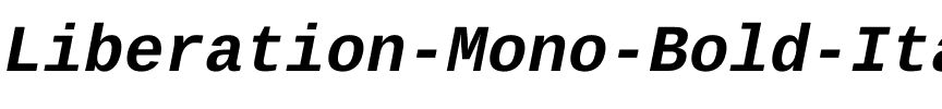 Liberation Mono Bold Italic.ttf