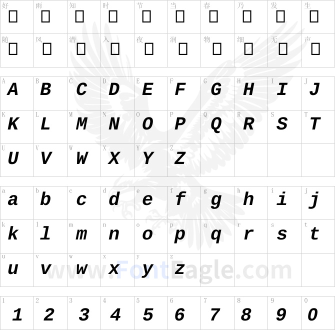 Liberation-Mono-Bold-Italic