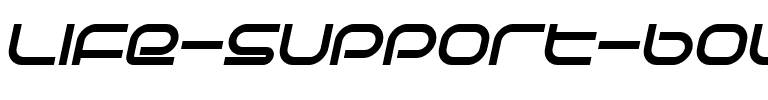 Life Support Bold Italic.ttf
