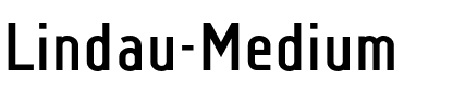 Lindau Medium.otf