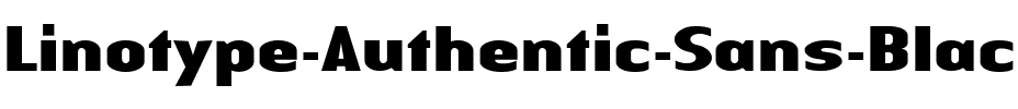 LTAuthenticSans Medium Bold.ttf
