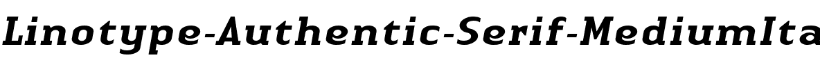 LTAuthenticSerif Medium Italic.ttf