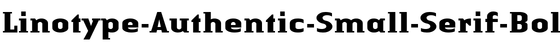 LTAuthenticSmallSerif Bold.ttf